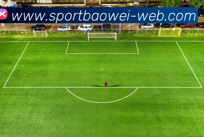 纳因戈兰谈职业生涯：乐在其中是我继续踢球的动力